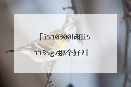 i510300h和i51135g7那个好?