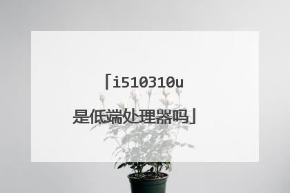 i510310u是低端处理器吗