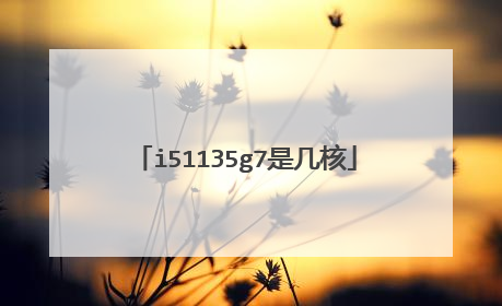 i51135g7是几核