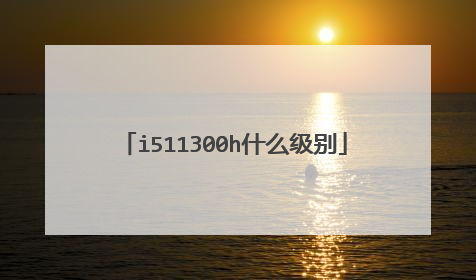 i511300h什么级别