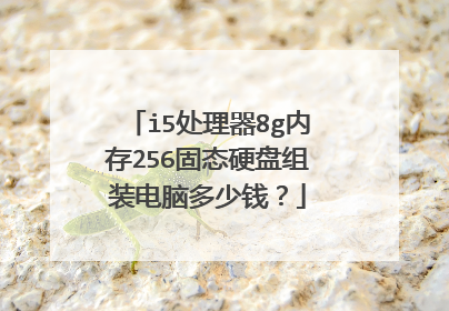 i5处理器8g内存256固态硬盘组装电脑多少钱？