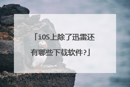 iOS上除了迅雷还有哪些下载软件?