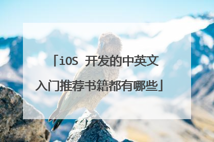 iOS 开发的中英文入门推荐书籍都有哪些