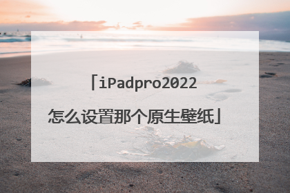 iPadpro2022怎么设置那个原生壁纸