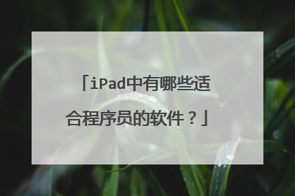 iPad中有哪些适合程序员的软件?