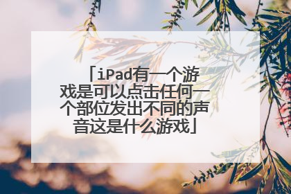 iPad有一个游戏是可以点击任何一个部位发出不同的声音这是什么游戏
