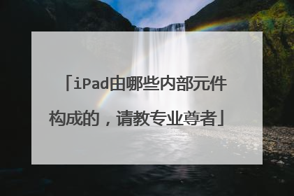 iPad由哪些内部元件构成的,请教专业尊者