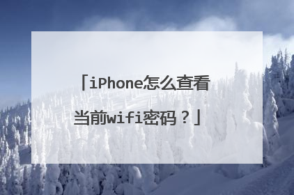 iPhone怎么查看当前wifi密码?
