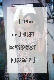 iPhone手机的网络参数如何设置？