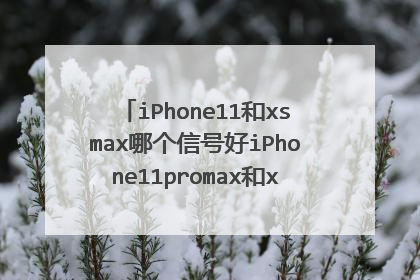 iPhone11和xsmax哪个信号好iPhone11promax和xsmax信号网速对比