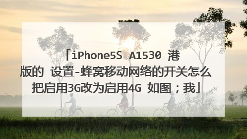 iPhone5S A1530 港版的 设置-蜂窝移动网络的开关怎么把启用3G改为启用4G 如图;我