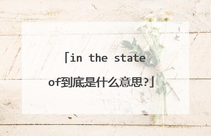in the state of到底是什么意思?
