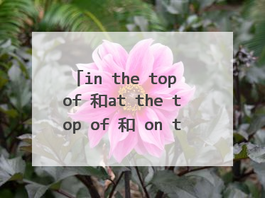 in the top of 和at the top of 和 on the top of区别