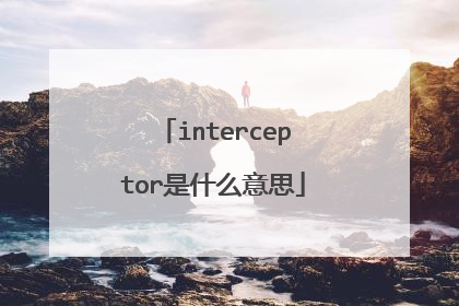 interceptor是什么意思