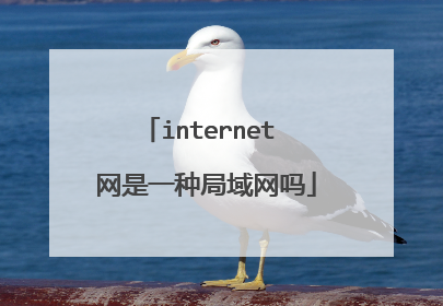 internet 网是一种局域网吗