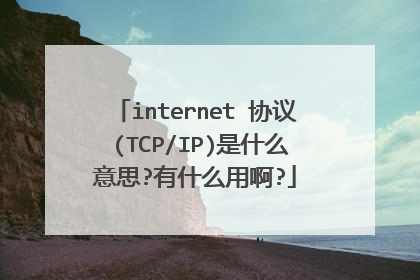 internet 协议 (TCP/IP)是什么意思?有什么用啊?