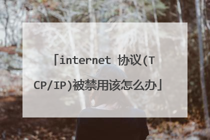 internet 协议(TCP/IP)被禁用该怎么办