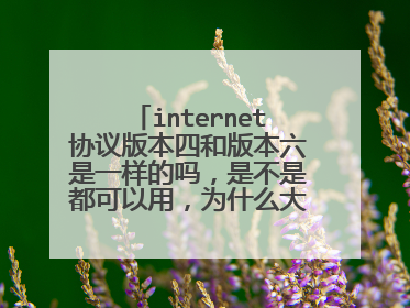 internet协议版本四和版本六是一样的吗,是不是都可以用,为什么大家都用的是版本四,不用版本六