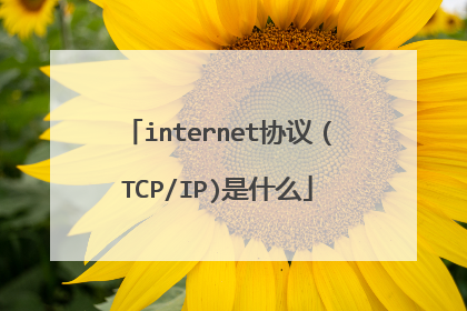 internet协议（TCP/IP)是什么
