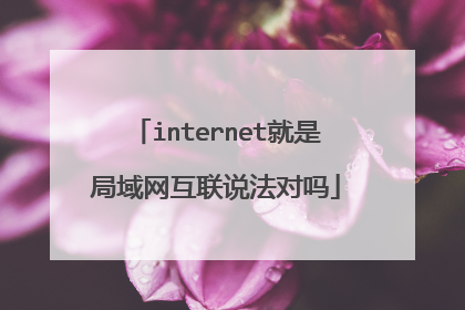 internet就是局域网互联说法对吗