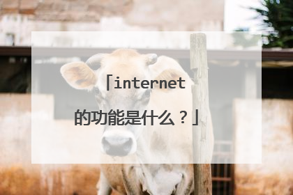 internet的功能是什么？