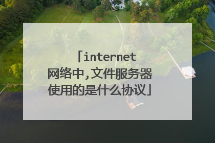 internet网络中,文件服务器使用的是什么协议