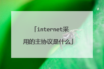 internet采用的主协议是什么