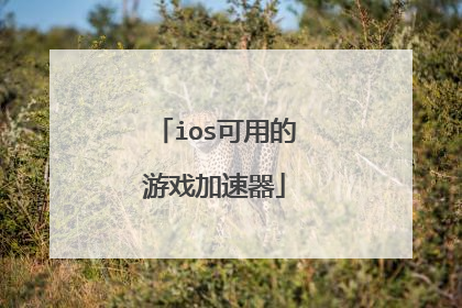ios可用的游戏加速器