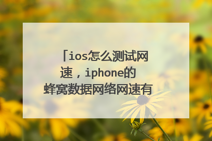 ios怎么测试网速,iphone的蜂窝数据网络网速有什么测试软件吗?