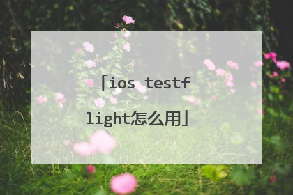 ios testflight怎么用