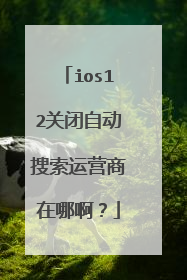ios12关闭自动搜索运营商在哪啊?