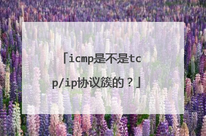 icmp是不是tcp/ip协议簇的？
