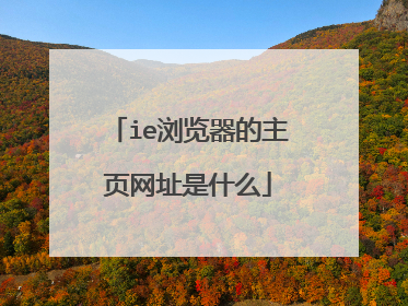 ie浏览器的主页网址是什么