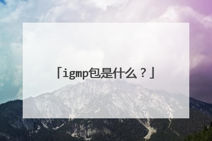 igmp包是什么？