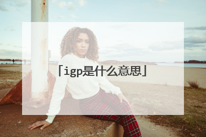 igp是什么意思
