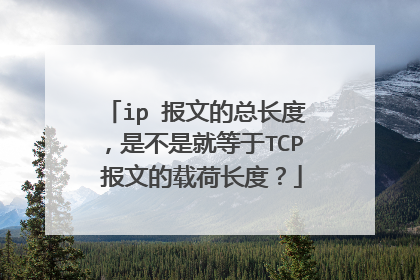 ip 报文的总长度，是不是就等于TCP 报文的载荷长度？