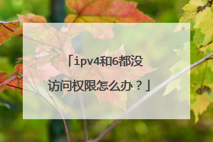 ipv4和6都没访问权限怎么办？