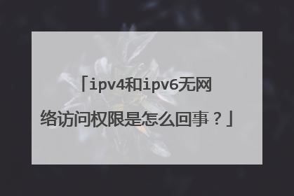 ipv4和ipv6无网络访问权限是怎么回事？