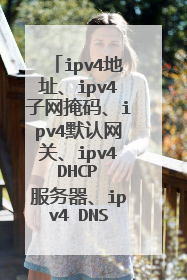 ipv4地址、ipv4子网掩码、ipv4默认网关、ipv4 DHCP 服务器、ipv4 DNS 服务器是什么样一种关系?