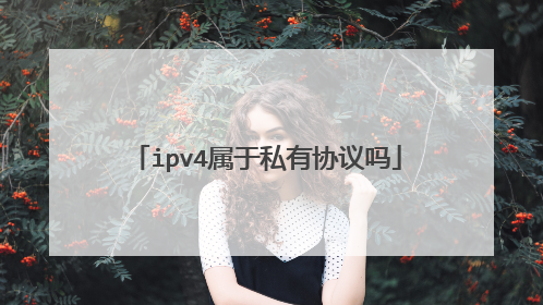 ipv4属于私有协议吗