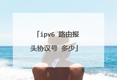 ipv6 路由报头协议号 多少