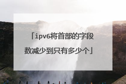 ipv6将首部的字段数减少到只有多少个