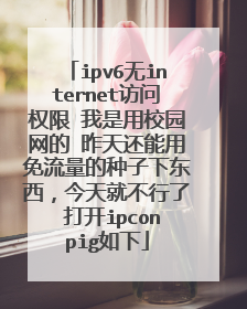 ipv6无internet访问权限 我是用校园网的 昨天还能用免流量的种子下东西,今天就不行了 打开ipconpig如下