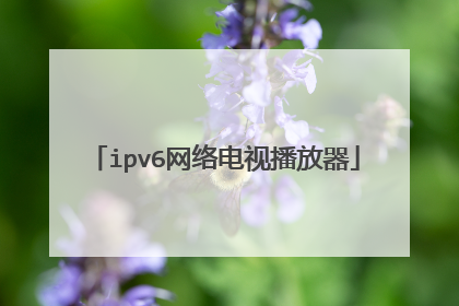 ipv6网络电视播放器