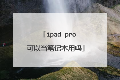 ipad pro可以当笔记本用吗