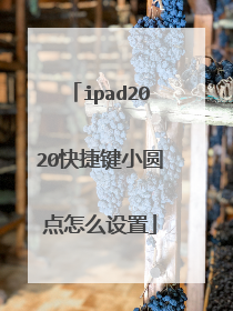 ipad2020快捷键小圆点怎么设置