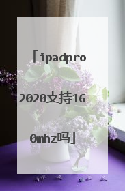 ipadpro2020支持160mhz吗