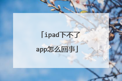 ipad下不了app怎么回事
