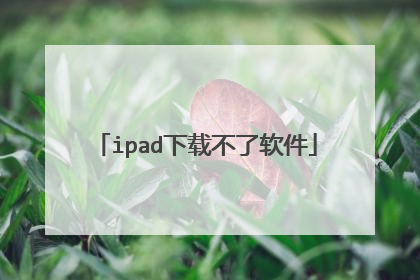 ipad下载不了软件