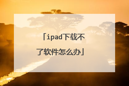ipad下载不了软件怎么办